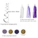 Cocodeko DIY Paper Pom Poms with Tissue Paper Tassel, Polka Dot Garland, Hanging Swirl Decorations and Balloon Kit for Birthday Wedding Showers Party Decorations - Purple