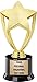 Crown Awards Gold Star Trophies with Custom Engraving, 7.25