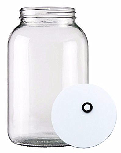 Home Brew Ohio One gal Wide Mouth Glass Jar with Grommeted Lid