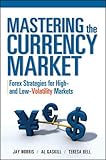 Mastering the Currency Market: Forex Strategies for High and Low Volatility Markets (Professional Finance & Investment)