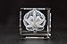 Brain Model Glass Paperweight Crystal 3D 1lb 2 x 2 x 3 Inches