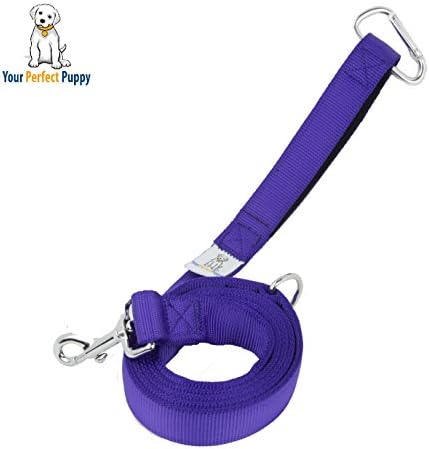 Your Perfect Leash Small Dogs - 2-Layer Nylon Pet Lead - 5 Colors Available - Carabiner Clip Sewn into the Padded Handle - D-ring - 20% Wider For Extra Durability -Purple
