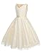 HOTOUCH Lovely Mesh Lace Pageant Wedding Flower Girl Dress (4Y-11Y)