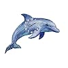 Sea Creations 14" Die Cut Dolphin Clock 41eongTwnuL