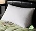 100% Organic Cotton Covered Wool Filled Pillow Standard/Classic Size