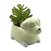 Cuteforyou Cute Animal Shaped Cartoon Home Decoration Succulent Vase Flower Pots