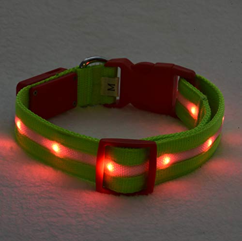 Blazin' Safety LED Dog Collar - USB Rechargeable with Water Resistant Flashing Light - Large Christmas