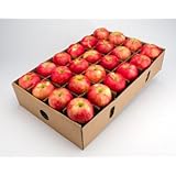 Organic Honeycrisp Apple by FruitShare