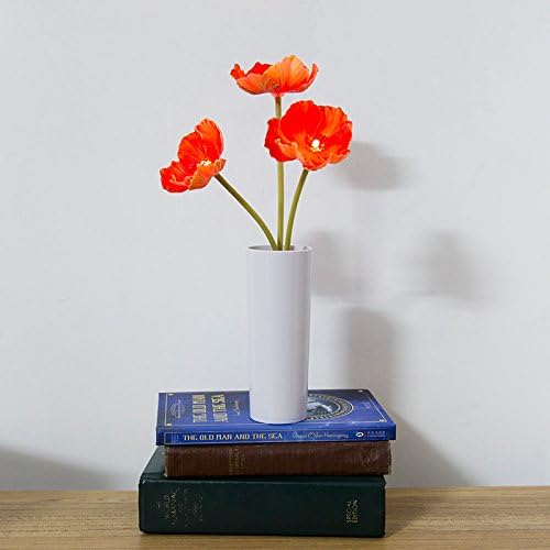 FANStek 2 AA Battery Powered LED Colour Changing With 3 Heads Red Poppy Flowers Night light