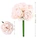SOLEDI Silk Peony Bouquet 5 Heads Light Pink Artificial Fake Flower Bunch Bouquet Bridal Bouquet Wedding Living Room Table Home Garden Decoration