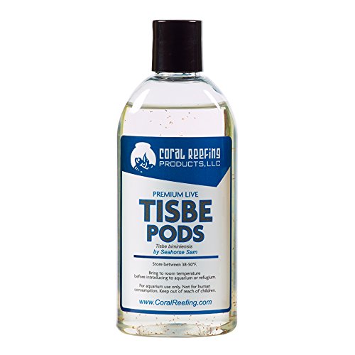 600+ Premium Live Tisbe Pods