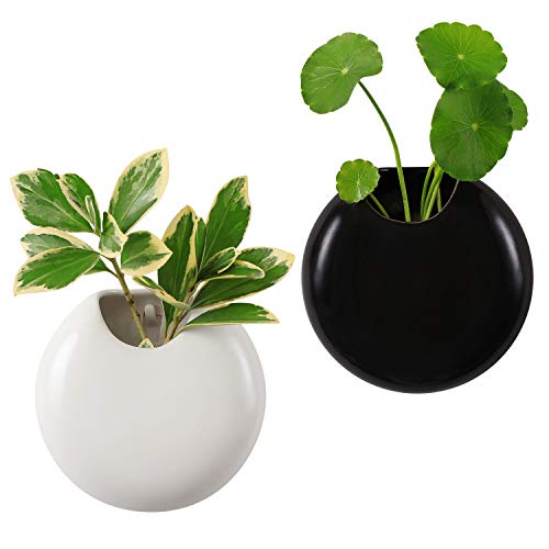 T4U Ceramic Wall Planter Pot, 4 Inch Round Wall Mounted Air Plant Cactus Herb Container for Gardening Home and Office Decoration Birthday Wedding Gift (Set of 2, Black and White)