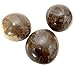 Kalimba Thumb Piano - 7 keys - Tunable - Coconut Shell - Natural - by World Percussion USA