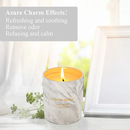 Haobell Gifts for Women - Scented Candles 100% Pure Natural Soybean Wax with Plant Essential Oils for Stress Relief Aromatherapy (Marble Gray)