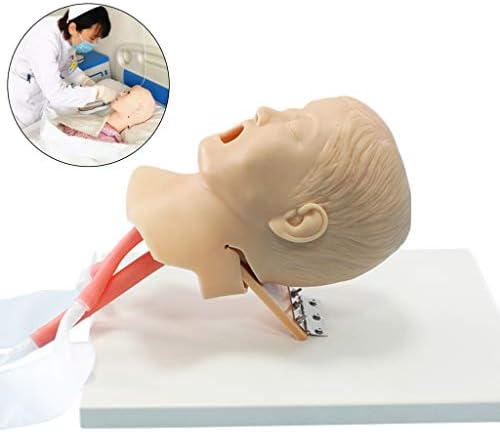 Intubation Manikin Model - Manikin Oral Nasal Airway Management Intubation Training Simulator - PVC Manikin Teaching Model - for Manikin Teaching