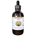 Elder Liquid Extract, Organic Elder (Sambucus Nigra) Tincture Supplement