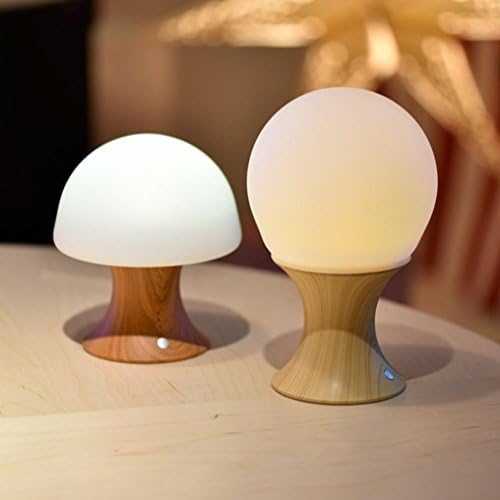 zeipy USB Colorful LED lights change the night light desktop timing lights (Dark color)