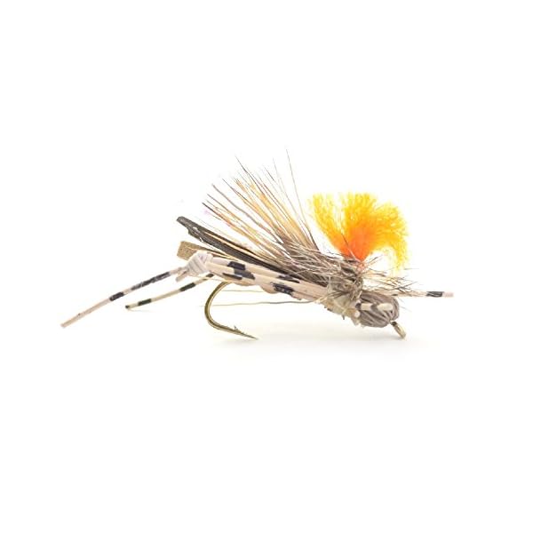 Trout-Fly-Assortment-Four-Best-Grasshopper-Trout-Dry-Flies-Collection-1-Dozen-Flies-4-Hopper-Fly-Patterns