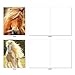 The Best Card Company - 10 Mixed Set Horse Note Cards Blank (4 x 5.12 Inch) - Wildlife, Animal Assorted Boxed Bulk Pack - Horses | Magnificent Manes M4601OCB-B1x10