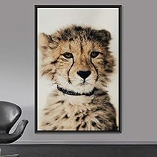 signwin Framed Canvas Wall Art Cheetah Animals Cheetah Dramatic Living Room Multicolor Photography - 24x36 inches