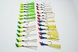 #1 Best Dart Shad Jig head Kit for American Shad Pack of 24 (#1 Dart Jig Head Kit D)