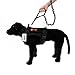 yisibo Tactical Bungee Dog Leash with Two Safty Handle for Small Medium Dogs (Black)