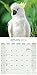 Cockatoos Calendar - Only Cockatoos Calendar - 2016 Wall calendars - Parrot Calendars - Animal Calendars - Monthly Wall Calendar by Avonside