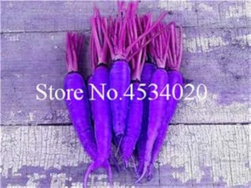 Bloom Green Co. 100 pzas Bonsai de zanahoria, flores de frutas y ...