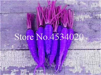 Bloom Green Co. 100 pzas Bonsai de zanahoria, flores de frutas y ...