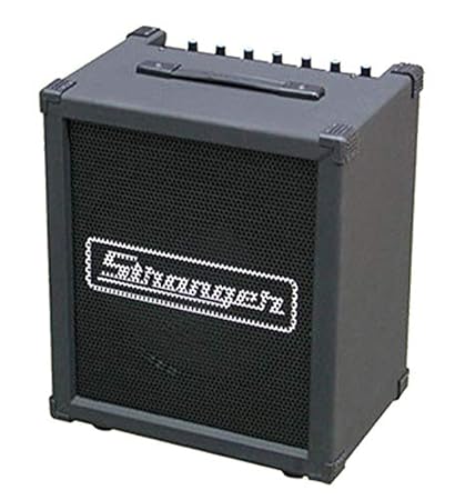 stranger sound box price