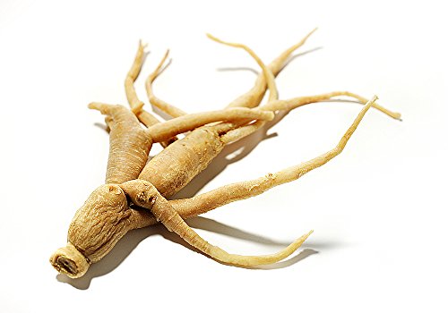 Chinese hardy panax ginseng - 20 seeds