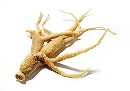 Chinese Hardy Panax Ginseng - 20 Seeds