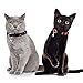 Frienda 4 Pieces Halloween Cat Collars Adjustable Breakaway Cat Collars with Bell Includes Pumpkin Ghost Cobweb Patterns for Halloween Party Cat Grooming Accessories