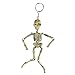 Kicko 6 Inch Skeleton Keychain - 12-Pack Mini Backpack Hook - Keyring for Bag and Belt Loop Accessory, Halloween Decor, Arts and Crafts, Educational Tool, Party Favors