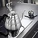 Pour Over Coffee Kettle with Thermometer-Flow Gooseneck Tea Kettles-Brew Barista-Standard Hand Drip Coffee Suitable all Stovetops and Induction, BPA Free,Father's Day Gift (Silver 34oz)