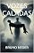 Livro Vozes Caladas