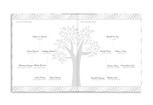 pearhead chevron baby memory book