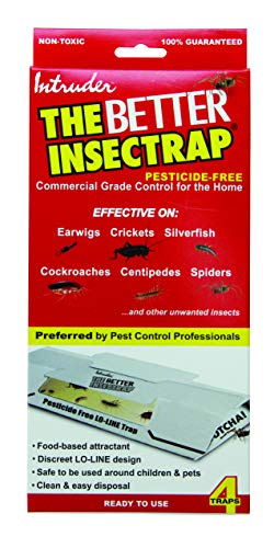 Intruder 21000 The Better Insectrap, 4-Pack