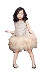 Shiny Toddler Champagne Hollow Out Flower Girl Birthday Party Tutu Skirt Dress