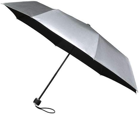 the best umbrella for wind