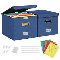 Forlogic File Box Organizer with lid, Collapsible