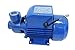 Electric Centrifugal Peripheral Power Clear Water Pump 0.5 1/2 Hp QB60 Pumping Garden House Pool Sprinkling Water