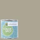 Inspired Eggshell Interior Colorspot Paint Sample, Stone .05,  8-oz