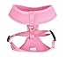 BINGPET Small Dog Harness - Breathable Mesh Puppy Cat Harnesses - No Pull Adjustable Dog Harness Dog Vest Harness for Small and Medium Dogs