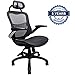 Ergonomic Office Chair, Weight Capacity Over 300Ibs Passed BIFMA,Breathable High Back Mesh Office Chairs,Adjustable Headrest,Backrest and Flip-up Armrests,Executive Office Chair for Height Under 5'11