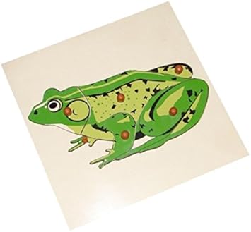 KIDO Montessori Materials - Frog Puzzle: Wooden Montessori Zoology Jigsaw Puzzle
