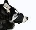 SCENEREAL Dog Muzzle for Small Medium Dogs Set of 2 Adjustable Soft Breathable Nylon Safety Muzzles for Dogs Anti Biting Barking, Black