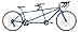 Giordano Viaggio Tandem Road Bike