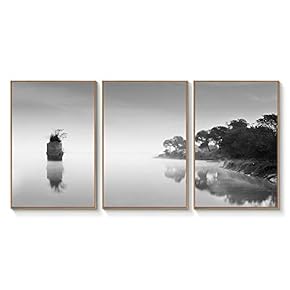 Floating Framed Canvas Wall Art for Living Room, Bedroom Black and White Landscape Canvas Prints for Home Decoration Ready to Hang - 16"x24"x3 Panels