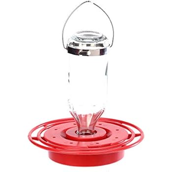 Amazon Com Best 1 8oz Hummingbird Feeder Wild Bird Feeders